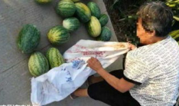 吃瓜最新事件爆料韩城,吃瓜群众揭秘最新事件内幕