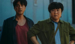 国产剧精品,匠心独运，光影流年